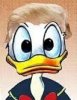 Vedi il profilo di Donald Truck