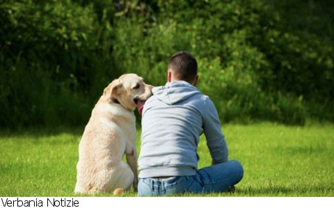 Verbania
VerbaniaBau: Conclusioni