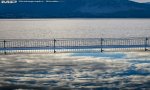 Verbania
The pic of the week - Riflessi