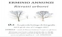 Stresa
Mostra fotografica di Erminio Annunzi