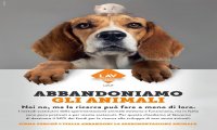 Verbania
Ricerca con #zeroanimali