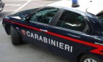 Verbania
Carabinieri: 12000€ di multe
