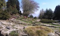 Verbania
Giardini Aperti 2017