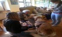 Verbania
Pet-Therapy al Muller