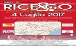 Verbania
Rice&Go 3° edizione