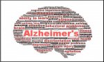 Verbania
PsicoNews: Alzheimer e linguaggio verbale
