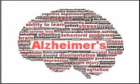 Verbania
PsicoNews: Alzheimer e linguaggio verbale