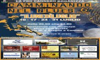 Cannero Riviera
Camminando nel Blues 2017