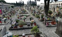 Verbania
"Cimiteri cittadini: non sono all’abbandono"