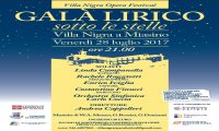 Miasino
Galà Lirico sotto le stelle