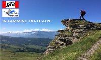 Verbania
In Cammino tra le Alpi