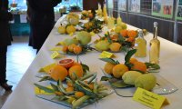 Cannero Riviera
Torna l'evento: "Gli agrumi di Cannero"