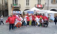 Domodossola
Admo e Domo insieme per Match it now
