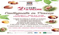 Verbania
Castagnata Legami di Valore ed Emporio dei Legami
