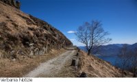 Verbania
Camminate di ottobre con Università del Bene-Essere
