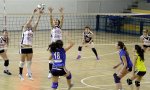 Verbania
Vega Occhiali Rosaltiora vince 3-0