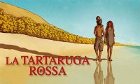 Verbania
Metti una sera al cinema - La tartaruga rossa