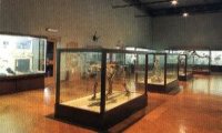 Ossola
Corso di formazione per operatori museali
