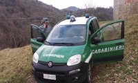 Verbania
Carabinieri forestali: controlli nelle cave del VCO