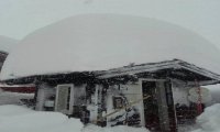 Macugnaga
Neve: Macugnaga situazione sotto controllo, viabilità interdetta - Foto