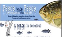 Verbania
Concorso per bambini ‘Pesce dolce Pesce’