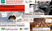 Vogogna
Convegno sui predatori poco conosciuti