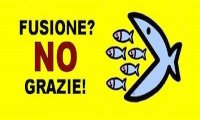 Cossogno
"Fusione Cossogno-Verbania, poca chiarezza"