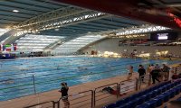Fuori Provincia
Nuoto torna Phoenix