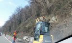 Ghiffa
SS34: rimossi i tronchi pericolanti