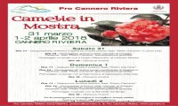 Verbania
Mostra della Camelia di Cannero