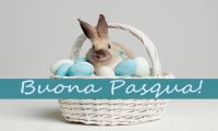Verbania
Buona Pasqua!