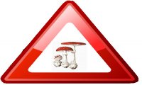 Verbania
Funghi provenienti da zone a rischio – precauzioni nel consumo