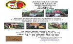 Verbania
Serate micologiche