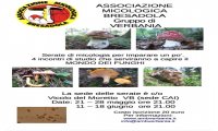 Verbania
Serate micologiche