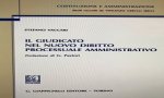 Verbania
Giovane verbanese Professore Universitario di Diritto Amministrativo
