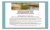 Verbania
Visita guidata alla Riserva di Fondotoce
