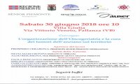 Verbania
Convegno Oncogeriatria