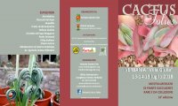 Verbania
“Cactus Folies” 2018