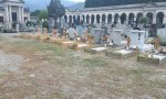 Verbania
Botta e risposta su manutenzione cimiteri