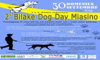 Fuori Provincia
Bilake Dog Day