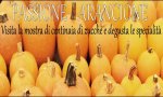 Verbania
Fiera Regionale della Zucca a Villa Taranto