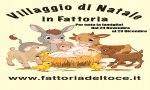 Verbania
"Villaggio di Natale in Fattoria"