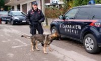 Stresa
Carabinieri: controlli fuori dalle scuole