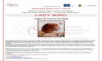 Verbania
"Lady Bird"