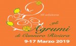 Cannero Riviera
Gli agrumi di Cannero Riviera 2019