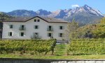 Verbania
Cantine aperte in Val d'Ossola con “Ossola in Cantina”