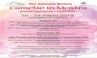Cannero Riviera
Camelie in Mostra 2019