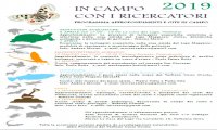 Verbania
In Campo con i ricercatori 2019
