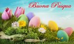Verbania
Buona Pasqua!