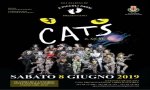 Cannobio
Musical Cats